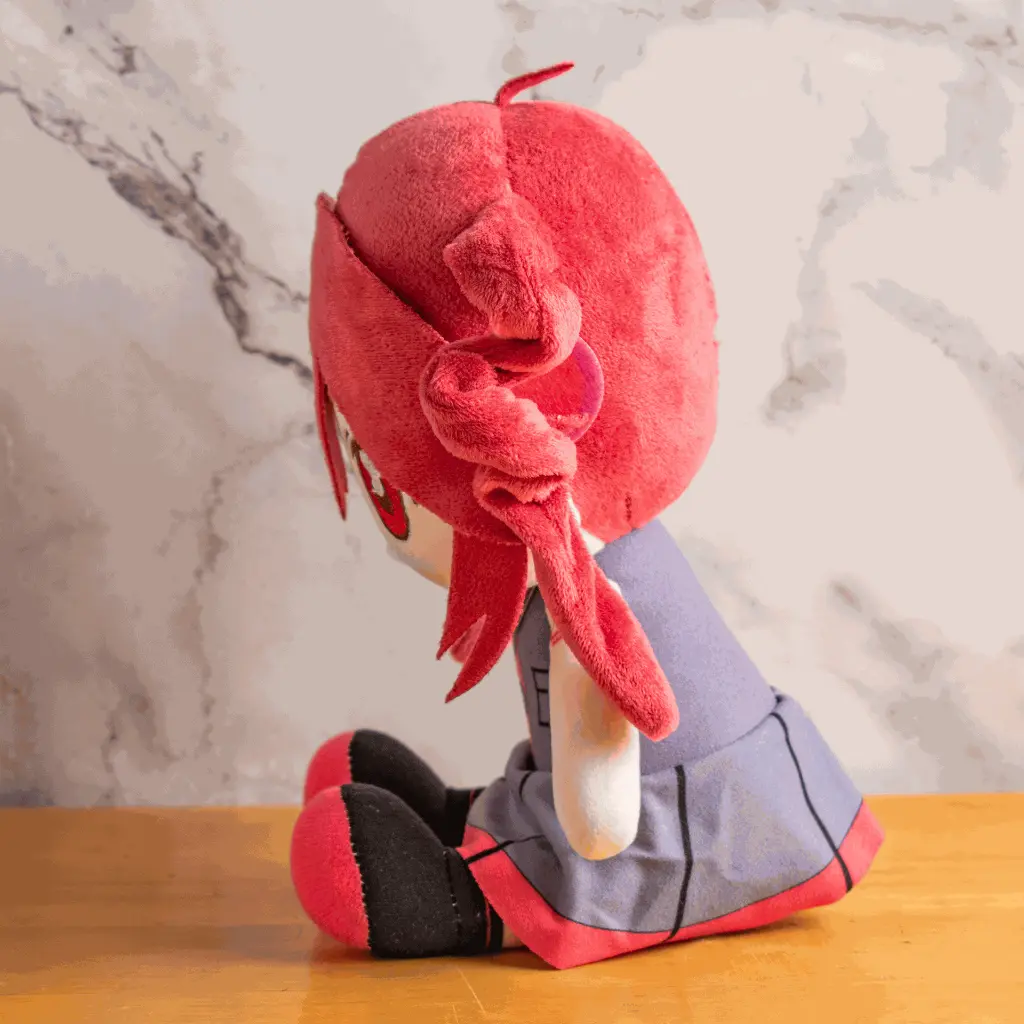 teto_front.webp